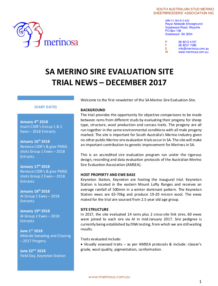 newsletter DEC 2017