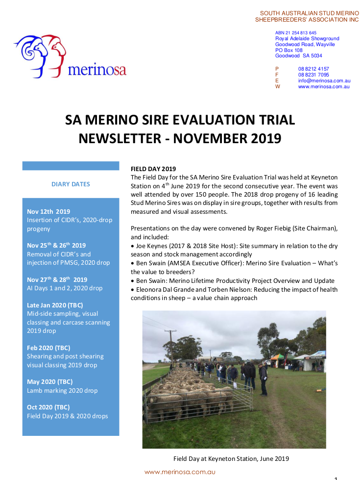 newsletter NOV 2019