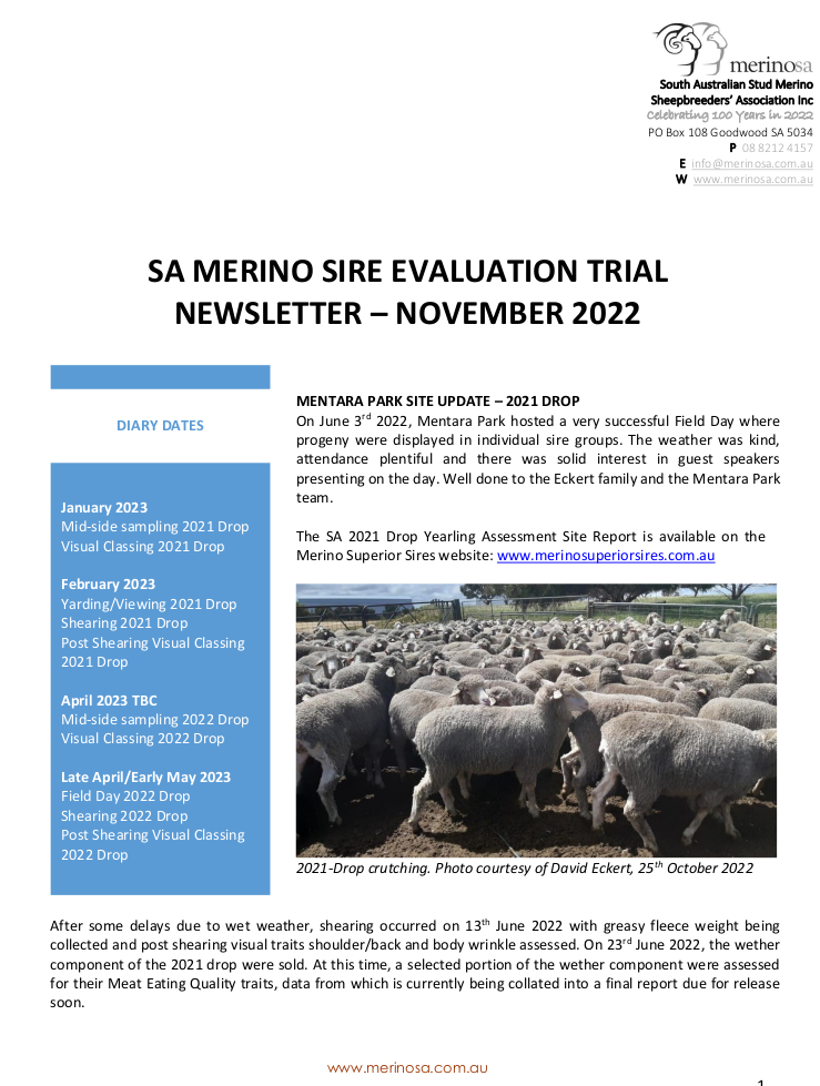 newsletter NOV 2022