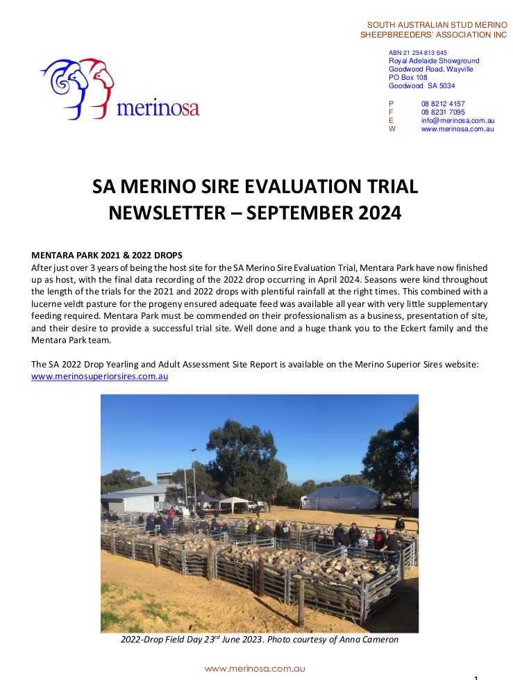 newsletter SEP 2024